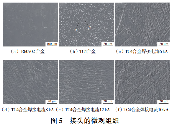 1764513728659289.png 截圖20251130223906.png