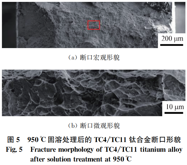 1764639413247045.png 截圖20251202092253.png