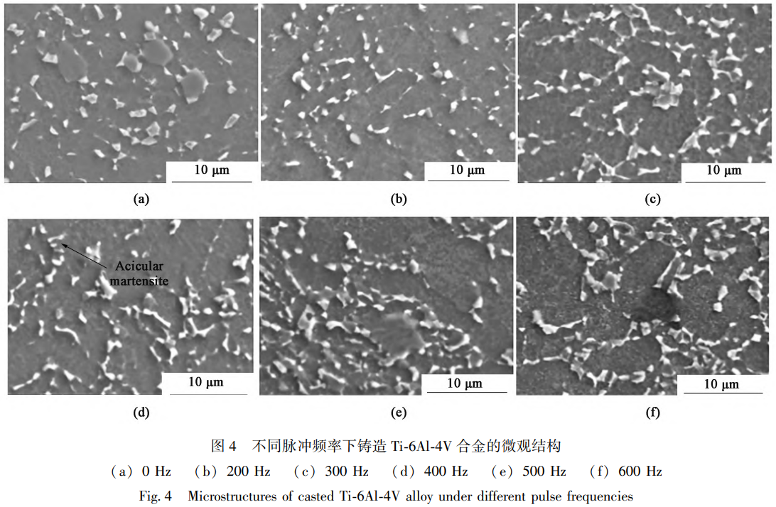 1765360595167393.png 4.png