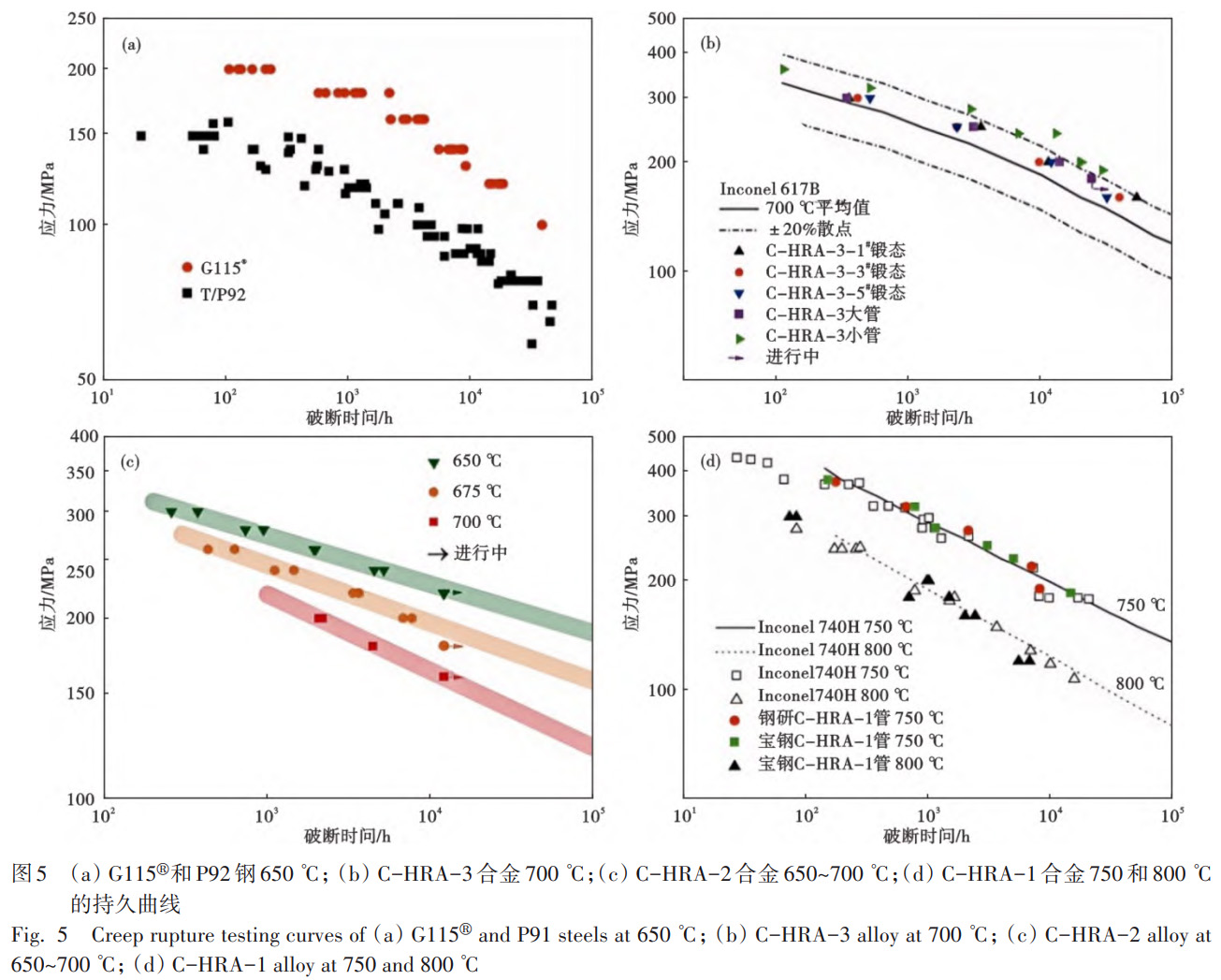 1767174396730722.jpg 5.jpg