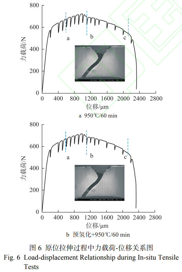 1767867078540694.jpg 6.jpg