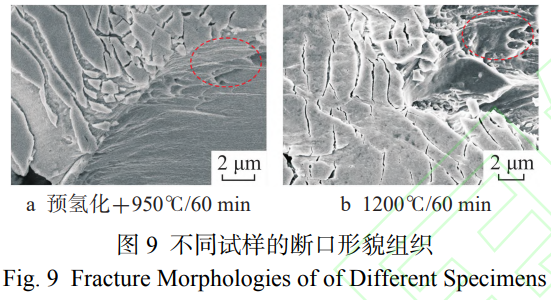 1767867105533594.png 截圖20260108180224.png