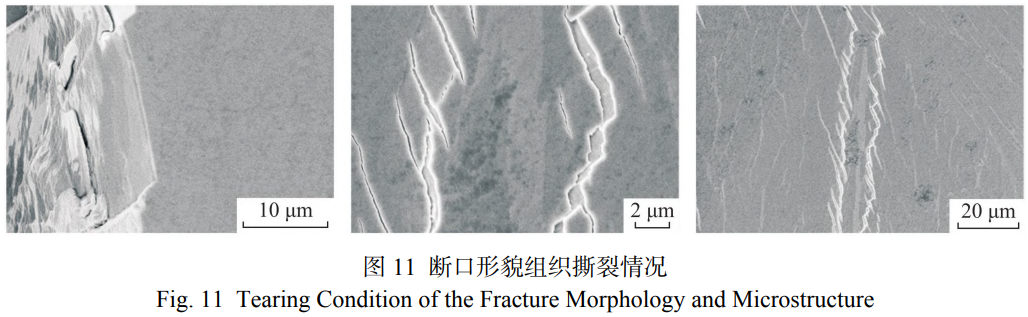 1767867121375710.png 截圖20260108180248.png