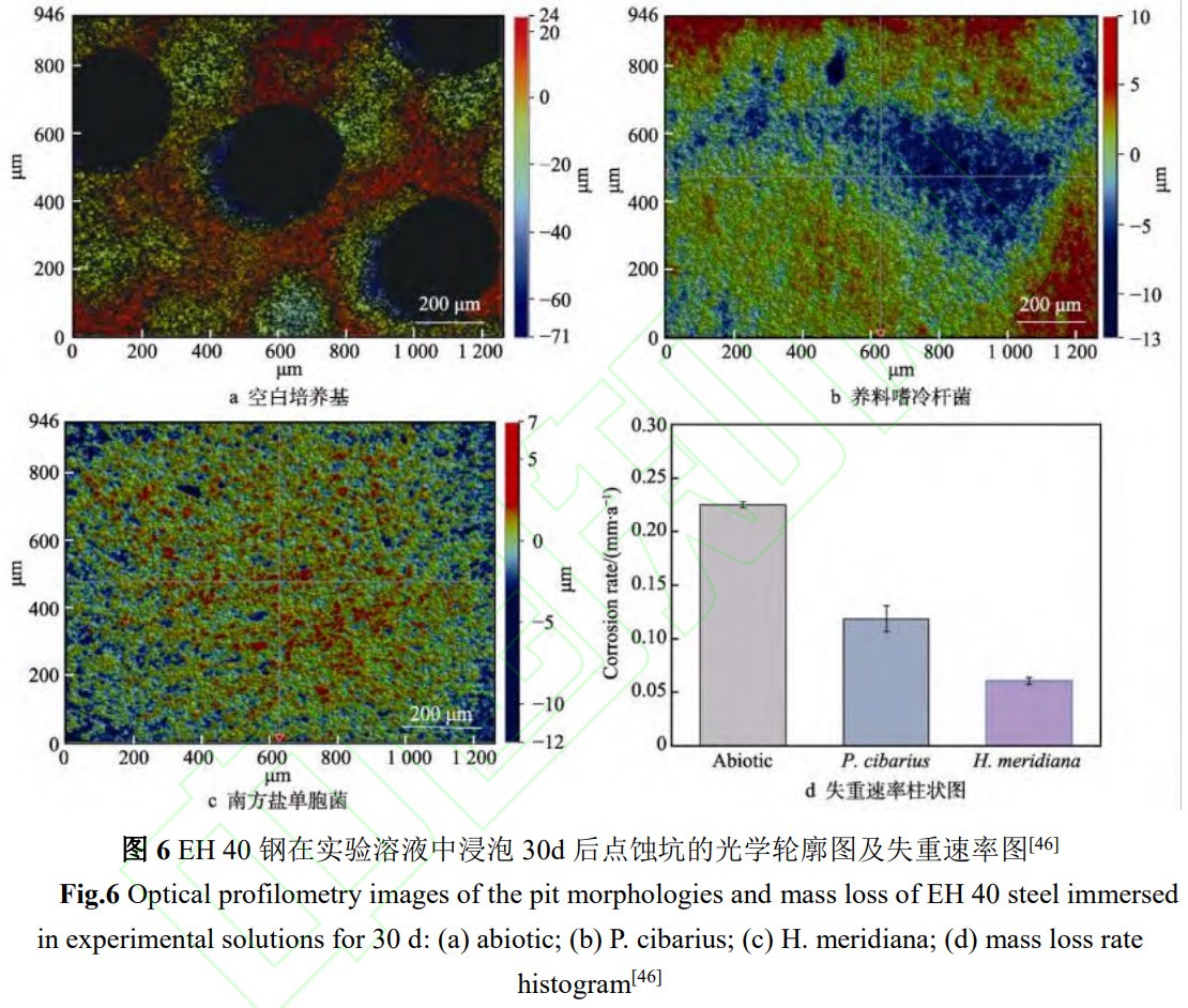 1767944750563630.jpg 6.jpg